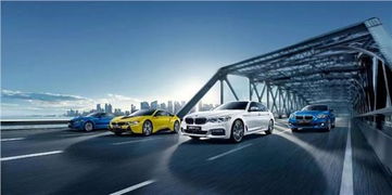 桐鄉(xiāng)寶昌電商團(tuán)購節(jié)盛大開啟 專用車領(lǐng)域迎來新機(jī)遇